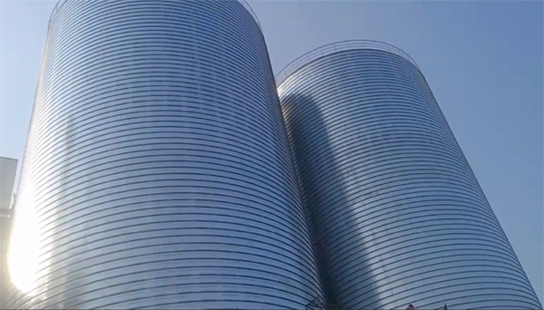 来安2座混凝土高架卷板仓